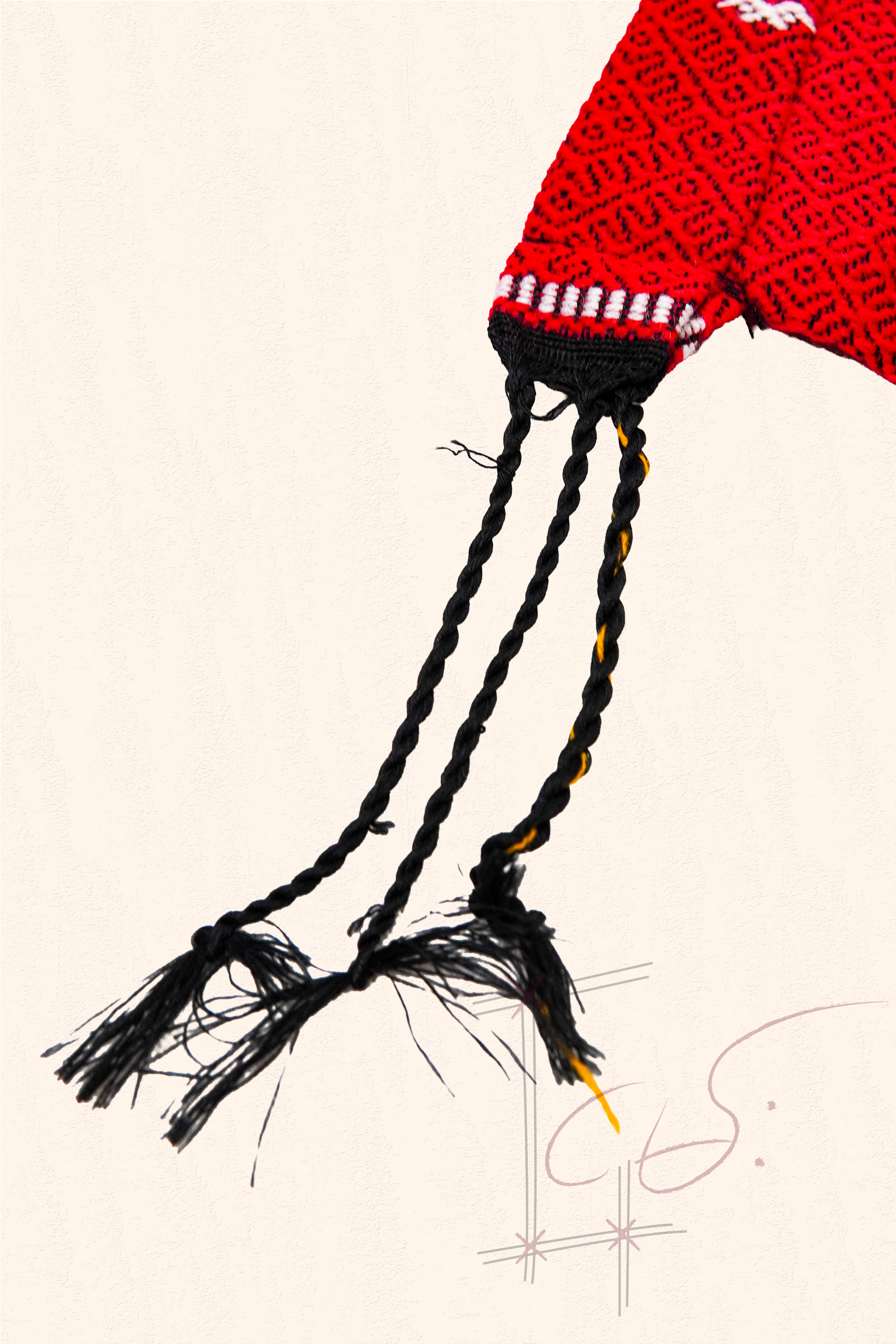 Jame Paw Phone Bag